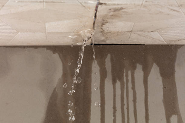 Professional Burst Pipe Cleanup technician working in Turbeville, SC